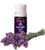 Young Living